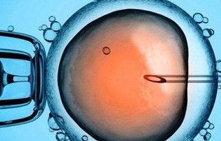 哈医大二院做三代试管婴儿生孩子孩价格多少？附试管费用详情？