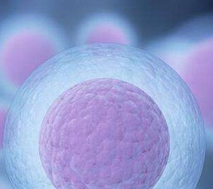 死精率80%的男性可以在绍兴市做三代试管吗？公开2026做三代试管条件