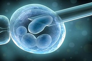 子宫纵隔生育困难可以在格尔木市做三代试管吗？子宫有问题做试管的成功率高吗？